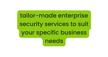 tailor made enterprise security services to suit your specific business needs